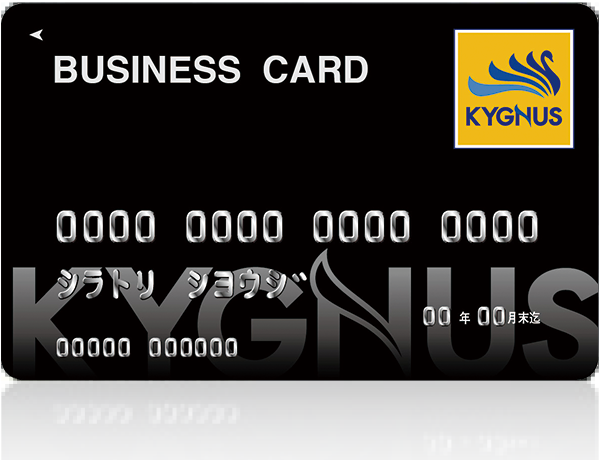 KYGNUS BUSINESS CARD